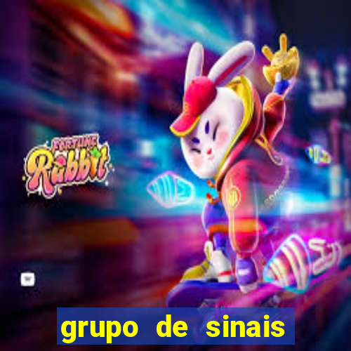 grupo de sinais fortune rabbit